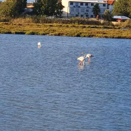 La Des Reves 营地 *